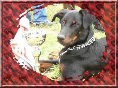 ker'bali - Journée beauceronne de Beaulieu(53)