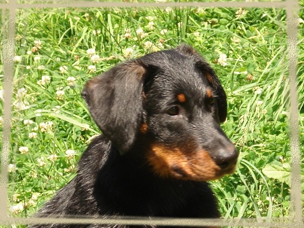 Mon Album photo